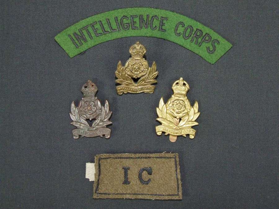Intelligence Corps Insignia