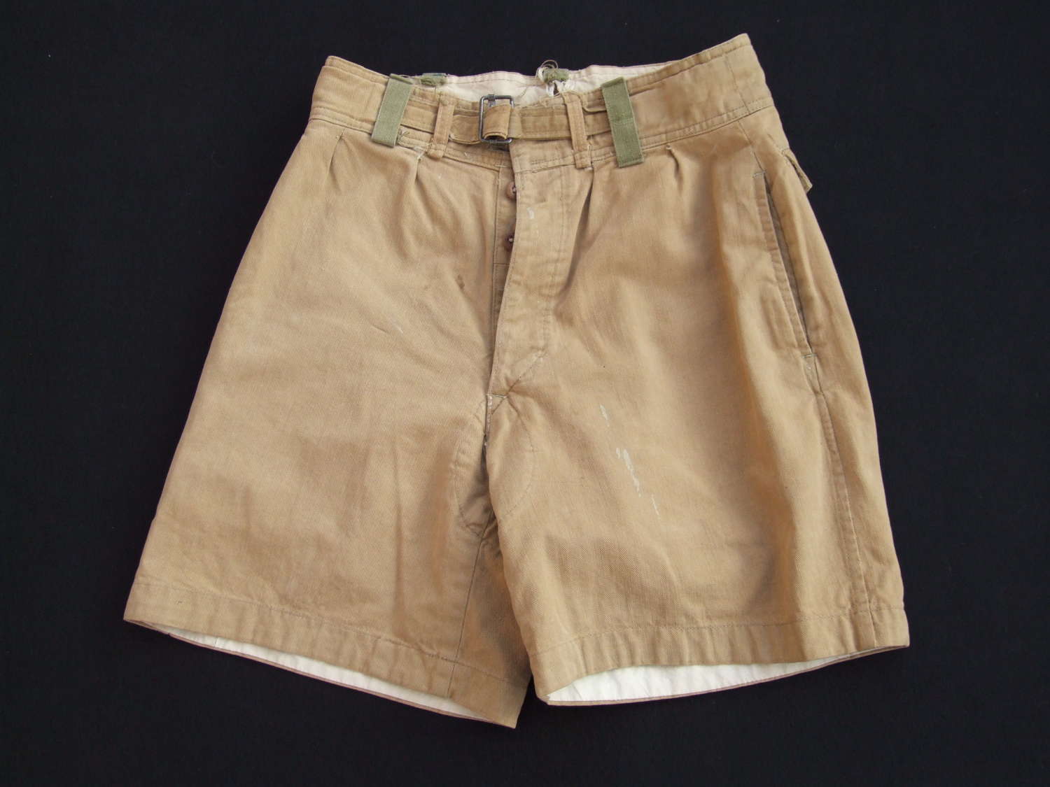 Luftwaffe Tropical Shorts