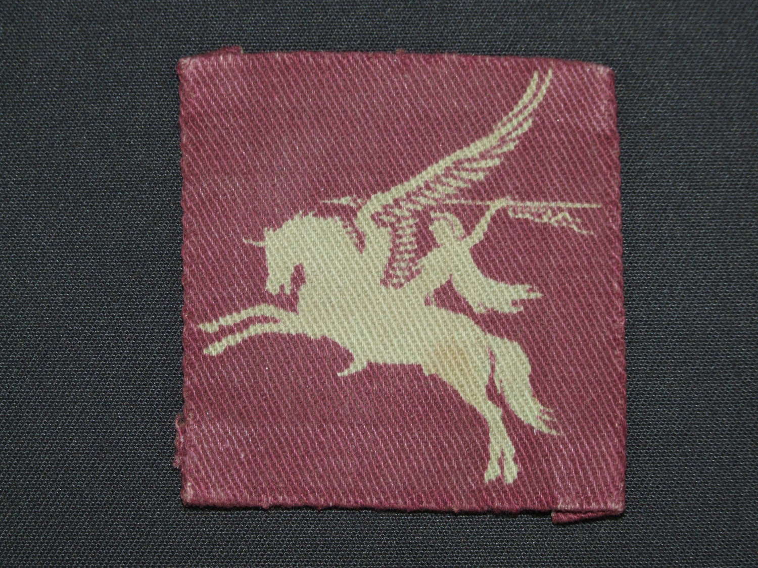 Printed Pegasus Patch