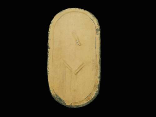 Heer Narvik Shield