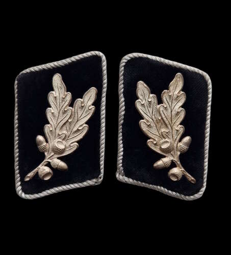 Sturmabteilung Oberführer Collar Patches.
