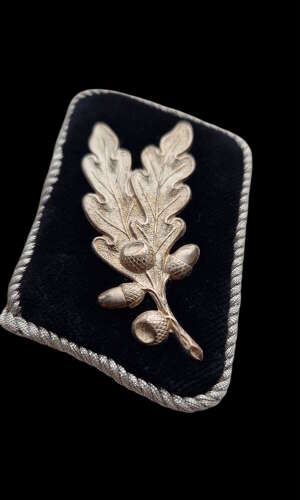 Sturmabteilung Oberführer Collar Patches.