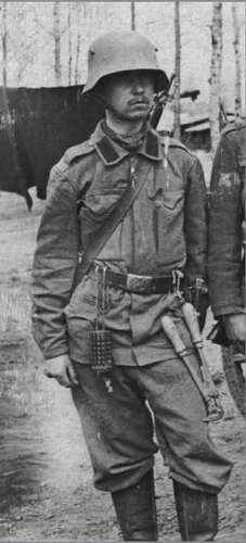 Austro Hungarian M15